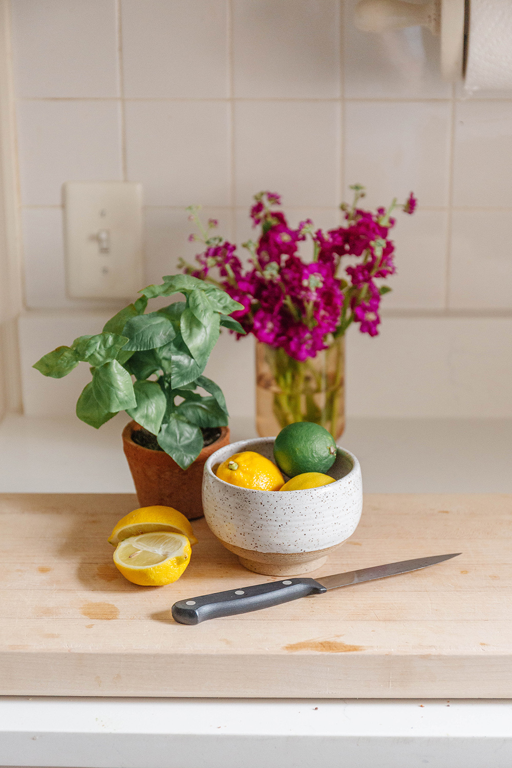 Shop The DGD Pottery Spring 2026 Collection